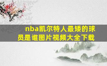 nba凯尔特人最矮的球员是谁图片视频大全下载