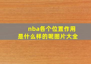 nba各个位置作用是什么样的呢图片大全