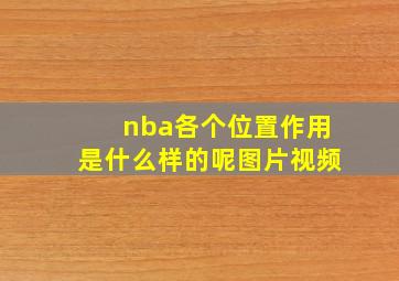 nba各个位置作用是什么样的呢图片视频