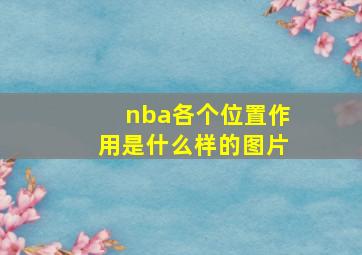 nba各个位置作用是什么样的图片