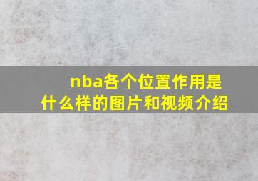 nba各个位置作用是什么样的图片和视频介绍