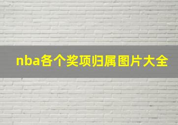 nba各个奖项归属图片大全