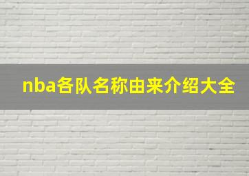 nba各队名称由来介绍大全