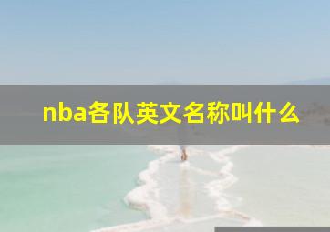 nba各队英文名称叫什么