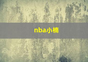 nba小楠