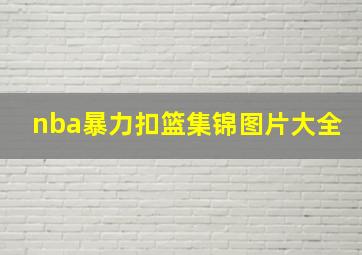 nba暴力扣篮集锦图片大全