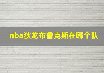 nba狄龙布鲁克斯在哪个队