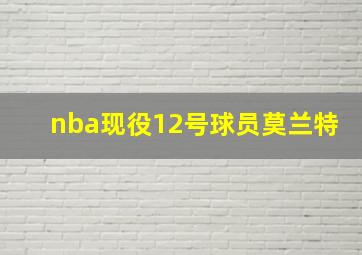 nba现役12号球员莫兰特