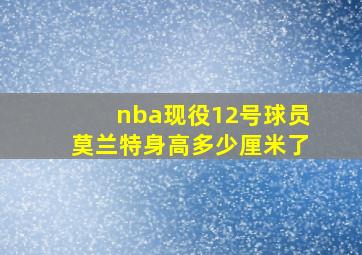 nba现役12号球员莫兰特身高多少厘米了