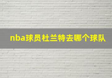 nba球员杜兰特去哪个球队