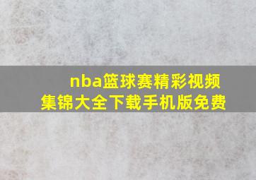 nba篮球赛精彩视频集锦大全下载手机版免费