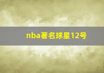 nba著名球星12号