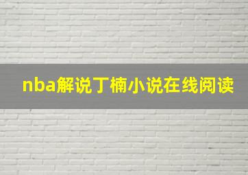 nba解说丁楠小说在线阅读