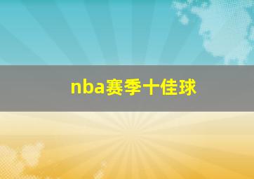 nba赛季十佳球