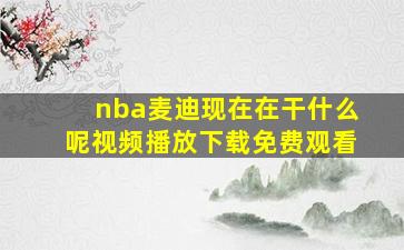 nba麦迪现在在干什么呢视频播放下载免费观看