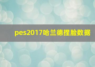 pes2017哈兰德捏脸数据