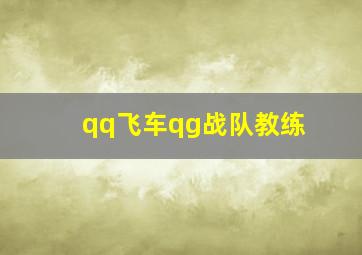 qq飞车qg战队教练