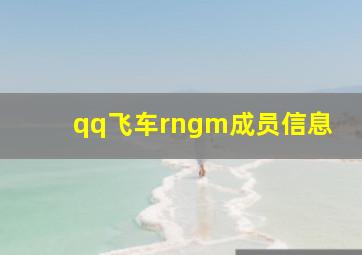 qq飞车rngm成员信息