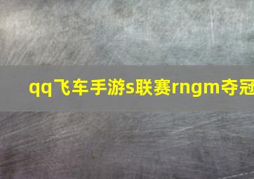 qq飞车手游s联赛rngm夺冠