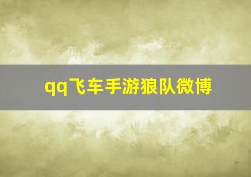 qq飞车手游狼队微博