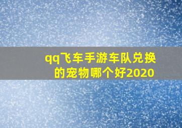 qq飞车手游车队兑换的宠物哪个好2020