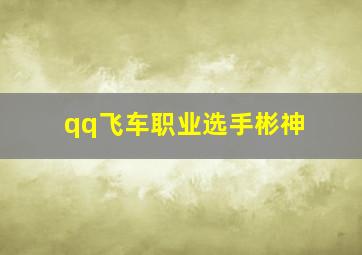 qq飞车职业选手彬神