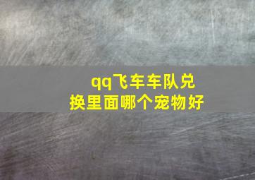 qq飞车车队兑换里面哪个宠物好