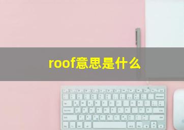 roof意思是什么