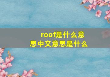 roof是什么意思中文意思是什么