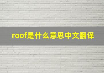 roof是什么意思中文翻译