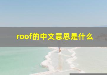 roof的中文意思是什么