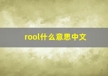 rool什么意思中文