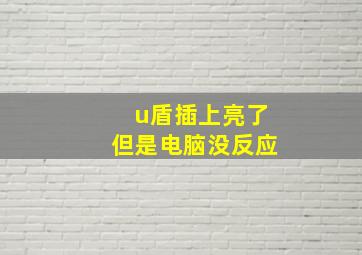 u盾插上亮了但是电脑没反应