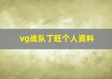 vg战队丁旺个人资料