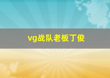 vg战队老板丁俊