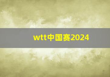 wtt中国赛2024