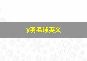 y羽毛球英文