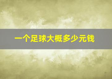 一个足球大概多少元钱