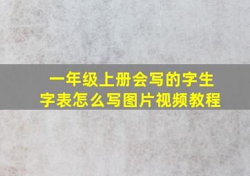 一年级上册会写的字生字表怎么写图片视频教程