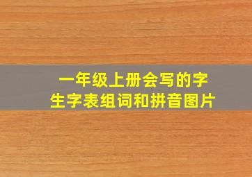 一年级上册会写的字生字表组词和拼音图片