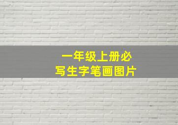 一年级上册必写生字笔画图片