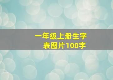 一年级上册生字表图片100字