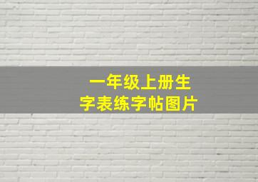 一年级上册生字表练字帖图片