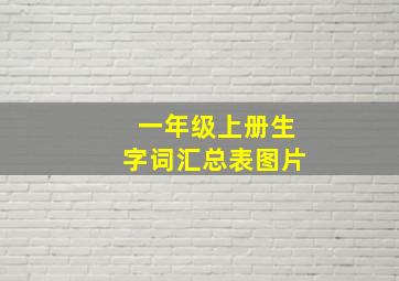 一年级上册生字词汇总表图片