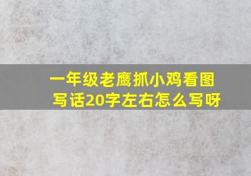 一年级老鹰抓小鸡看图写话20字左右怎么写呀