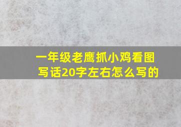 一年级老鹰抓小鸡看图写话20字左右怎么写的