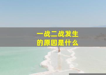 一战二战发生的原因是什么