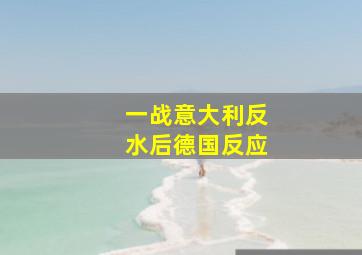 一战意大利反水后德国反应