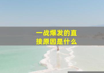 一战爆发的直接原因是什么