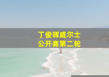 丁俊晖威尔士公开赛第二轮